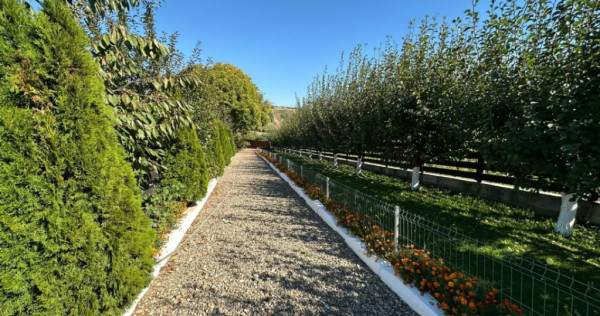 Proprietate 12.000 mp în Tătărusi, sat Uda – Bucovina M