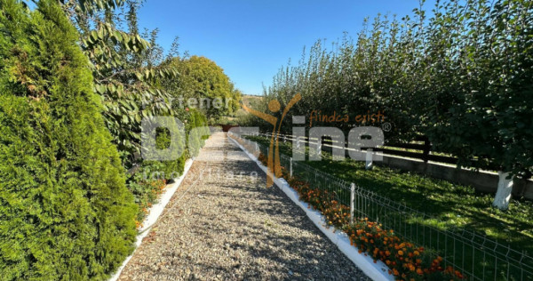 Proprietate 12.000 mp &icirc;n Tătărusi, sat Uda &ndash; Bucovina M