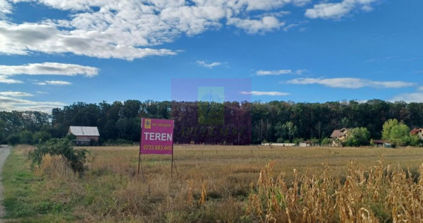Gulia teren 11.157 mp, l&acirc;ngă Pădurea Cereanca