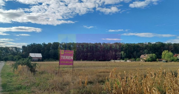 Gulia teren 11.157 mp, lângă Pădurea Cereanca