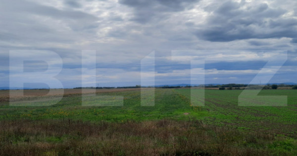 Teren extravilan de vanzare, 21.750 mp, Satu Mare