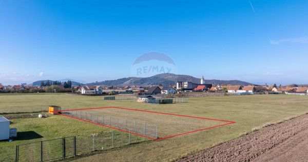 Teren Harman, Strada Henri Coanda, 1000mp