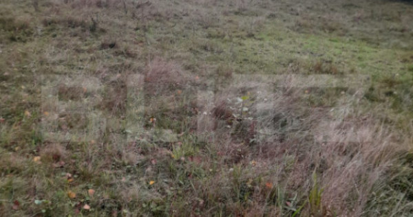 Teren intravilan de vanzare, 2280 mp, Vatra Dornei