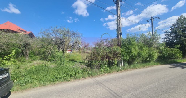 Teren de vanzare in Campina in zona retrasa
