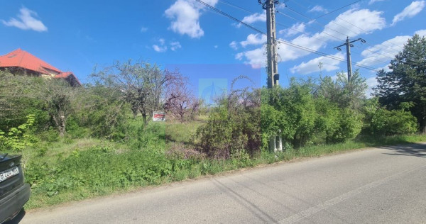 Teren de vanzare in Campina in zona retrasa
