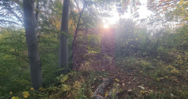 Teren intravilan de vanzare in Telega