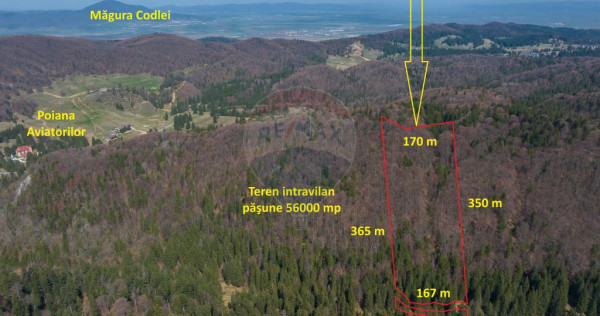 Teren intravilan, 56000 mp, Poiana Braşov