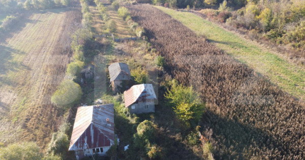 Proprietate de vanzare, 1000 mp, sat Gârleni