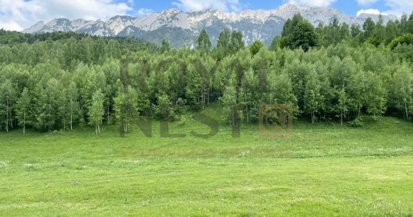 COMISION 0%! Teren superb la Plaiul Foii, pe malul Barsei