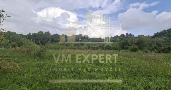 TEREN 20.621 MP CAMPULUNG