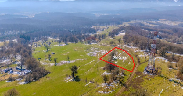 COMIISION 0% Teren cu vedere spectaculoasă – 3.100 mp ...
