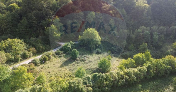 Teren de v&acirc;nzare &icirc;n Măgureni