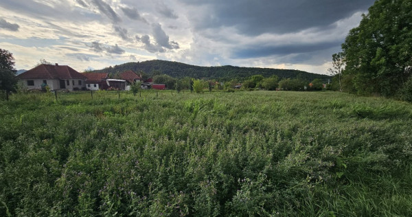 Casa si teren Birtin