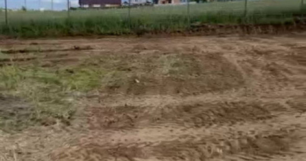 Teren Intravilan 550 mp Bod/Sanpetru