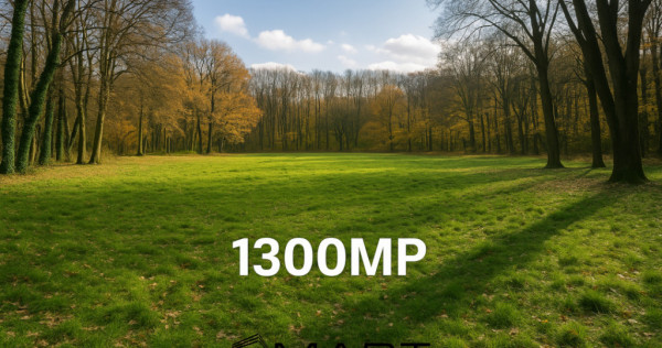 Teren cu vad exceptional 1300mp zona Subarini