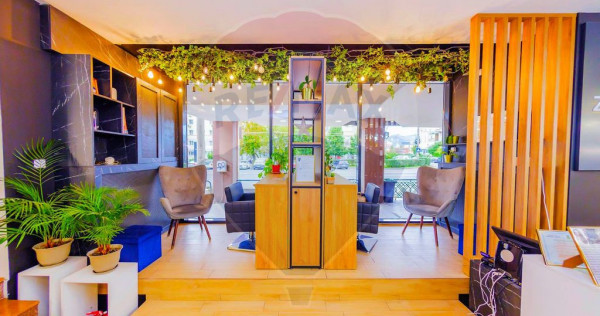 Vânzare spațiu comercial de 500 mp pe Bd. Traian, Baia ...