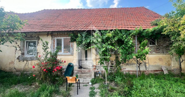 Casa veche in Recas cu teren generos de 1438 mp