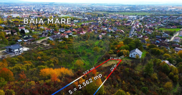 DE VANZARE: TEREN 25 ari cu panorama - Baia Mare - str. M...
