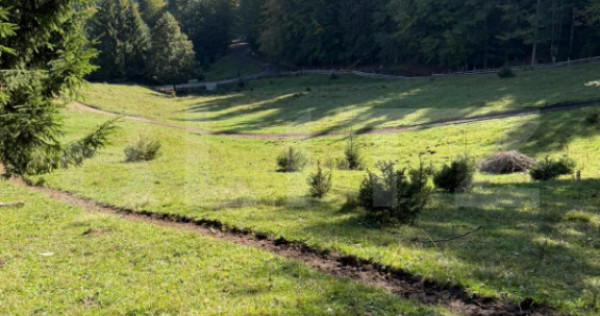 Teren intravilan 28 Ari zona Colibita