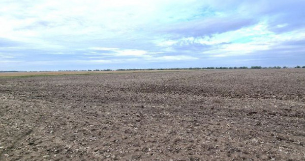 Teren extravilan, Comuna Valcele, Jud calarasi