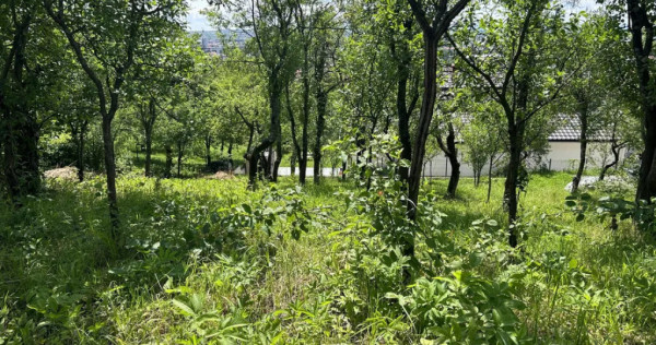 Parcelă de 3.72 ari – zonă Valea Rosie