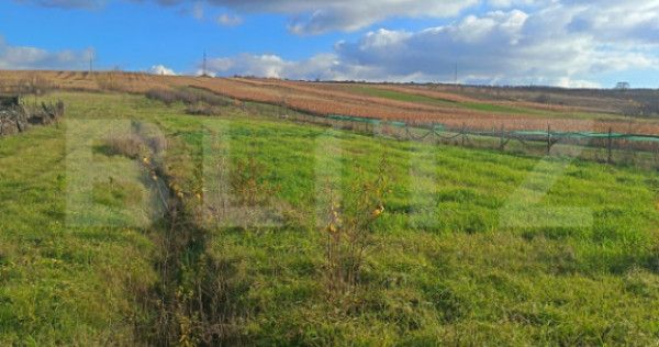 Teren extravilan, 7800 mp, intrare în Șimleu Silvanie