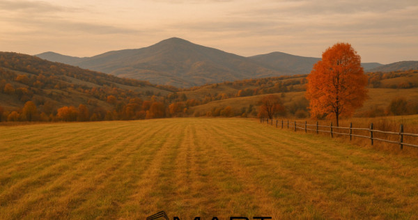 Teren intravilan zona Tocile