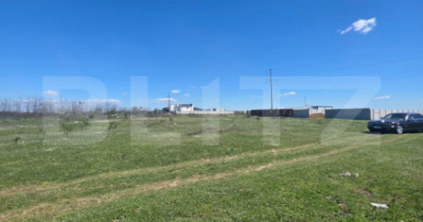 Teren 500 mp, Damila pentru investitie