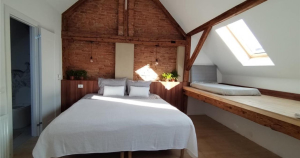 Apartament modern la curte