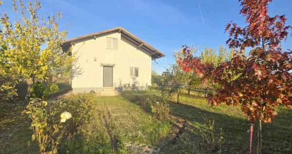 Vanzari Case / Vile Corbeanca - zona linistita