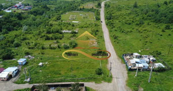 Teren pentru constructie hala indrustriala - Moinesti/Bacau