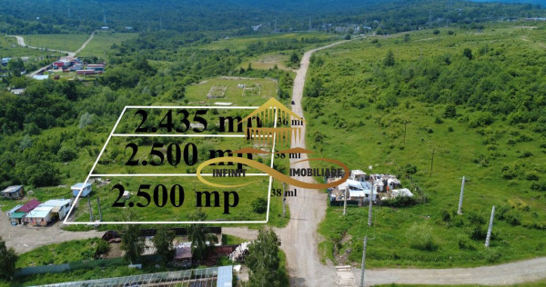 Teren pentru constructie hala indrustriala - Moinesti/Bacau