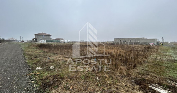 Teren 530 mp, Sacalaz, zona de case noi, zona PUZ Cosma.