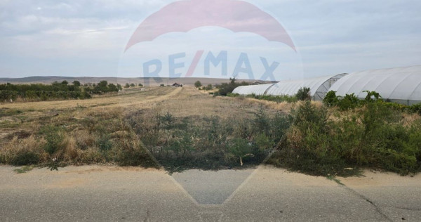 Teren intravilan 5000 mp Isalnita