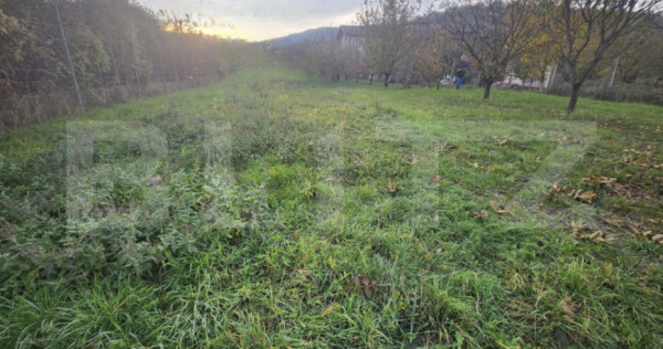 Teren intravilan,561 mp,Petresti