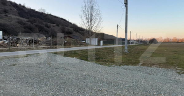 Teren intravilan industrial, 4307 mp, Podari