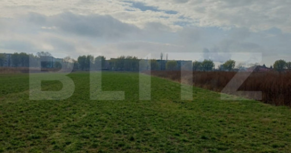 Teren extravilan, 3800 mp, Turda