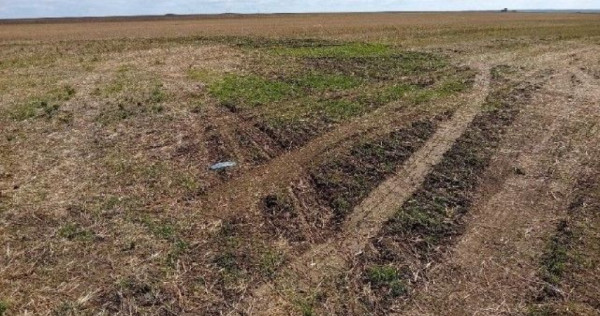 Teren extravilan cota parte 1/2 Alexandria, ID: R2814838