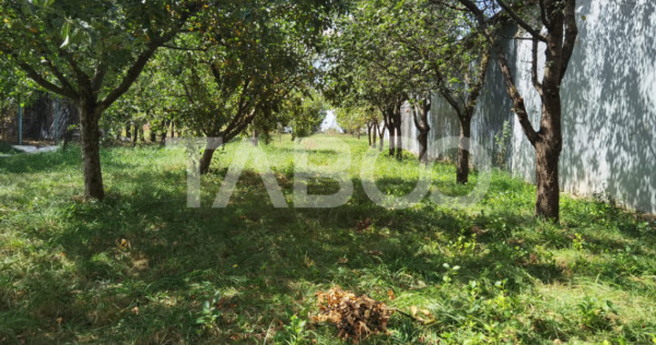 Teren intravilan de vanzare cu utilitati si puz in Poplaca