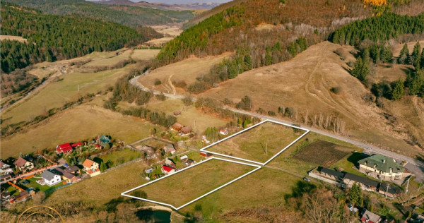 FILM! Teren cu potential, 6.700 mp, langa drumul principal,