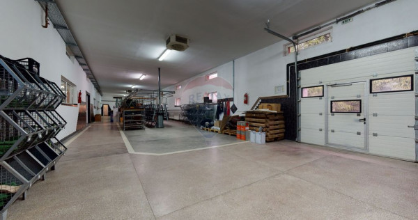 Spațiu de producție / depozitare + birouri, Brașov –...