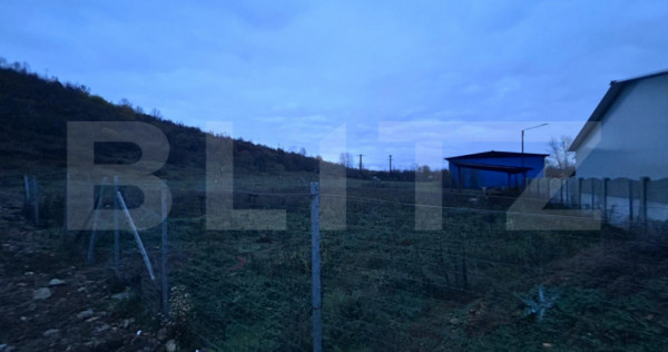 Teren Intravilan de vanzare, 485 mp, Balesti