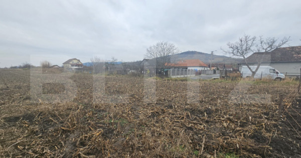 Teren extravilan 9000 mp, Ocna Mureş