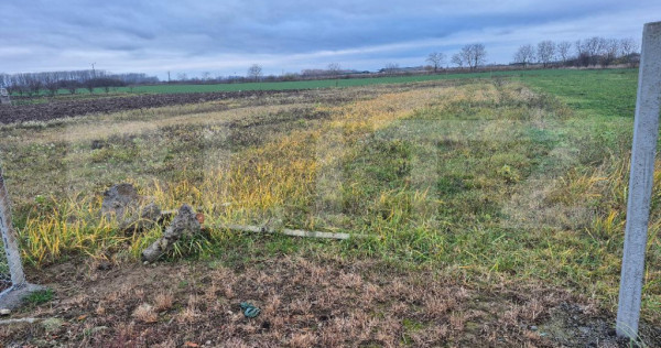 Teren intravilan de vanzare, 1500 mp, in Odoreu