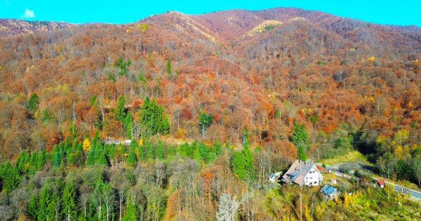 DE VANZARE Cabana-DN Baia Mare&ndash;Sighet cu 29AR