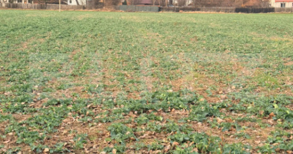 Teren de vânzare în Zărnești – 1150 m², poziție exce