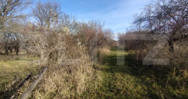 Teren extravilan, (livada pomi) 1,50 ha - zona Subcetate