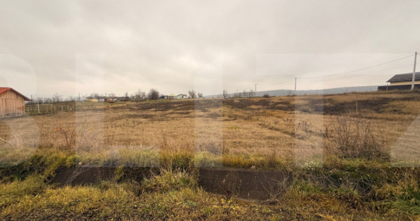 Teren intravilan de vanzare, 1250 mp - Ipotesti