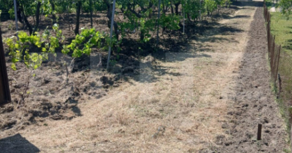 Casa de vanzare 800 mp curte, 32 mp utili, zona Exterior Sud