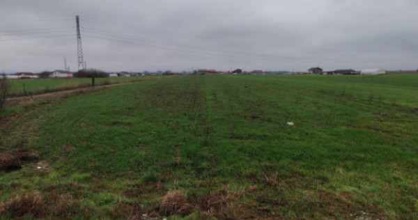 Teren Isanlita INTRAVILAN - 3266 MP - Ideal pentru investiti